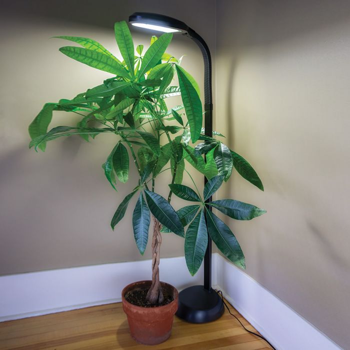 Agrobrite LED Standing Plant Lamp